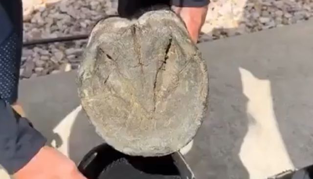 Вместо подков⁠⁠