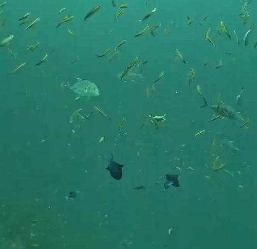 Какое-то совершенно несерьёзное место⁠⁠