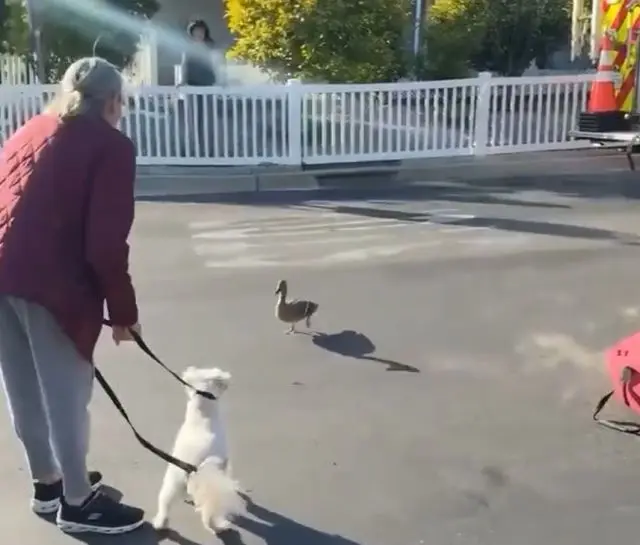 Самое доброе, что вы сегодня увидите⁠⁠