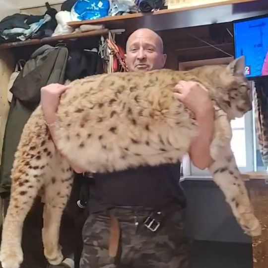 Мужик трогает киску...⁠⁠