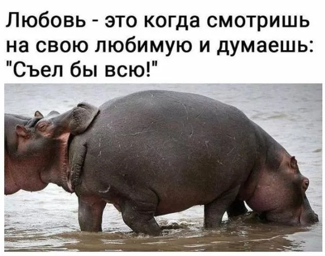 Вечерние приколы 20.04.2026