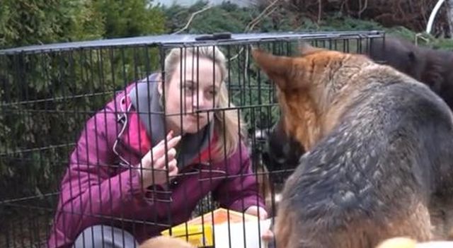 Теперь все понятно⁠⁠