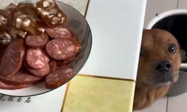 Ля ты крыса...