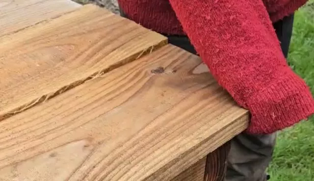 А вы видели гнездо шмеля?