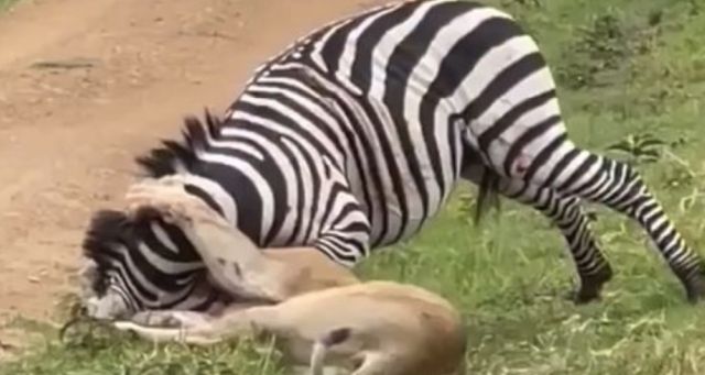 Проход на удушающий не помог⁠⁠