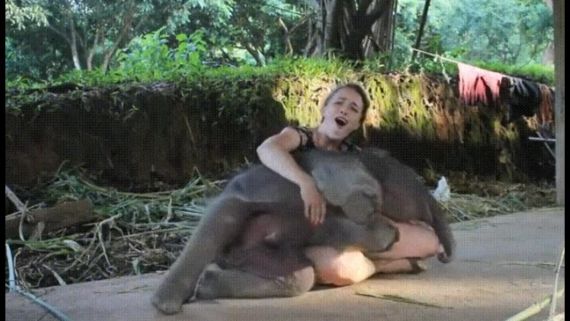 Мамонтёнок нашёл маму...⁠⁠