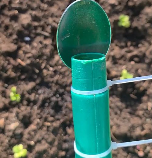 Этот пост для олдов-садоводов!