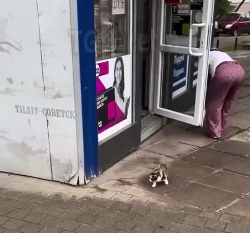 Юный охотник⁠⁠