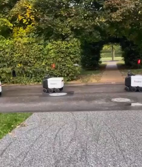 Долой рабство! Роботы не хуже людей! Робопролетарии всех стран, соединяйтесь!