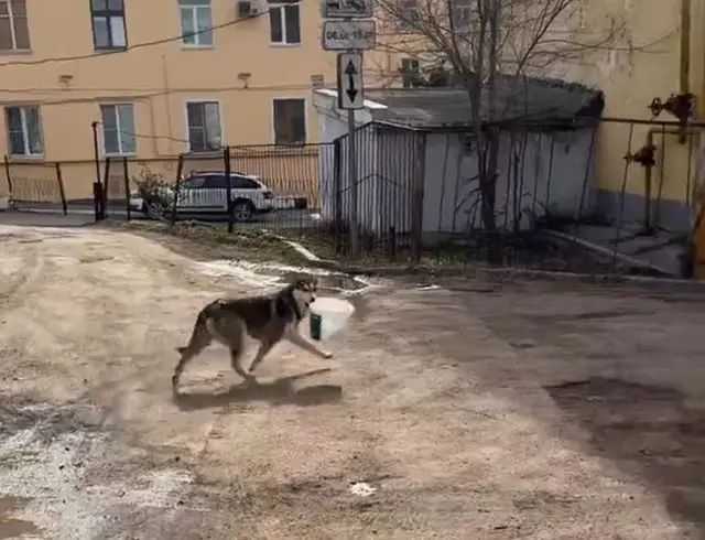 Было ваше - стало наше