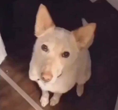 На что он намекает⁠⁠