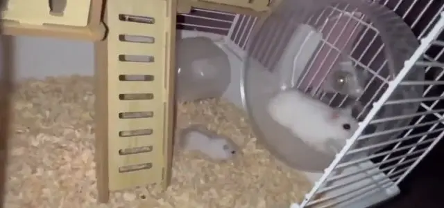 Мать, работающая на удалёнке⁠⁠