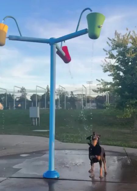 Безудержное веселье