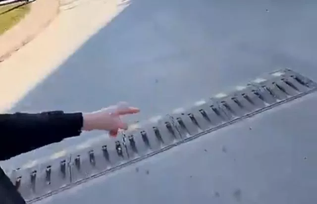 Ловушка для нарушителей