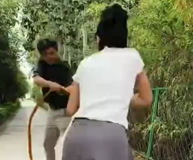 Медное дерево