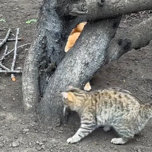 Ты ж говорил что шаришь⁠⁠