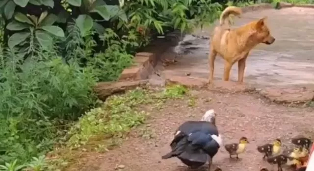 "Здравствуйте. Разрешите, пожалуйста, пройти. Я тихонечко. Спасибо"⁠⁠