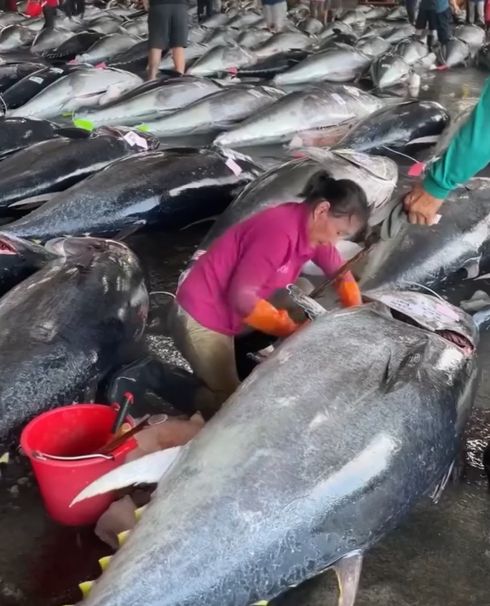 Искусство разделки тунца⁠⁠