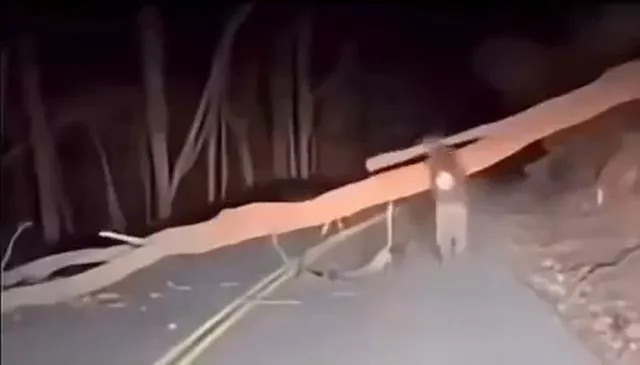 Случайные мужики распилили дерево, перекрывшее дорогу⁠⁠