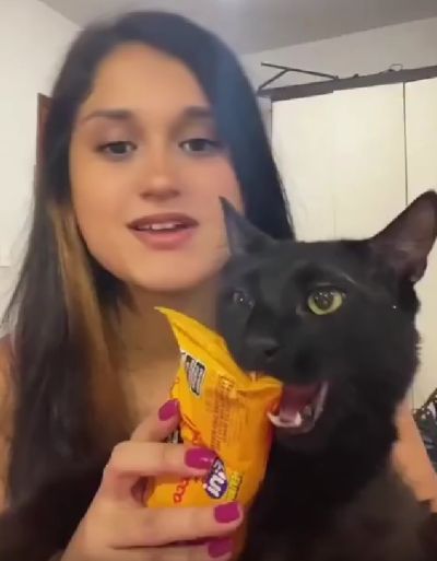 Какой-то упоротый кот