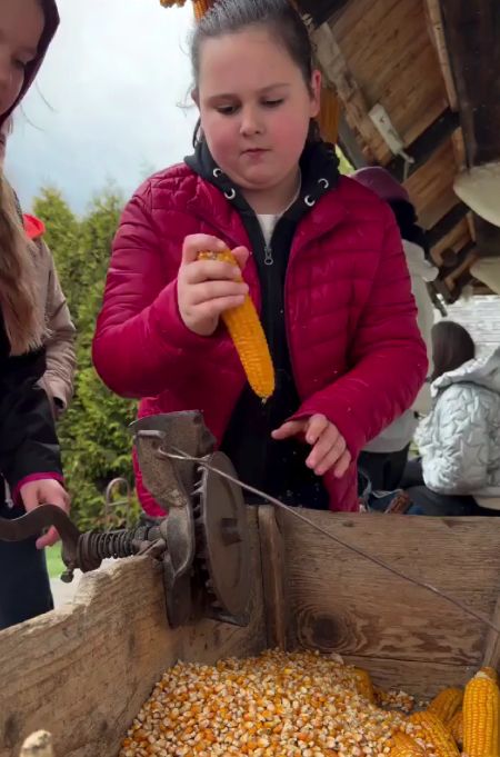 Девочки и кукурузные початки