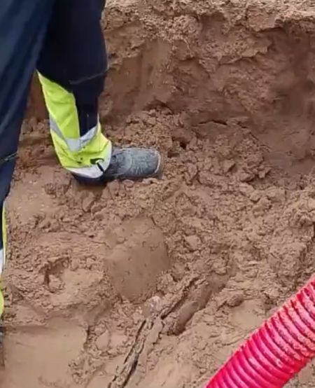 Поколение ЕГЭ вышло на работу!