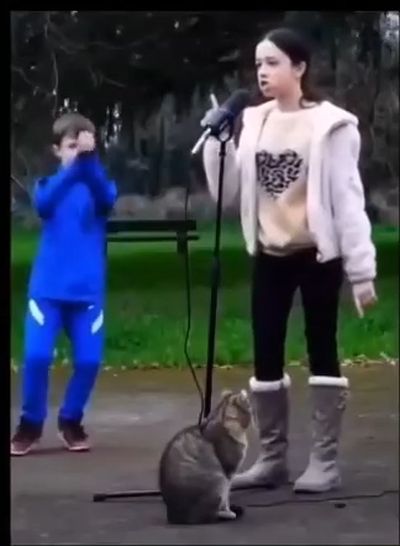 Если пойдешь петь, возьми брата и кота