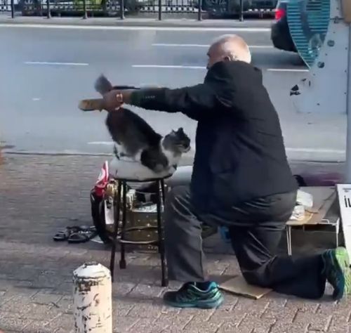 Лоску наведите пожалуйста