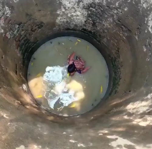 Необычная добыча дикого камня из колодца