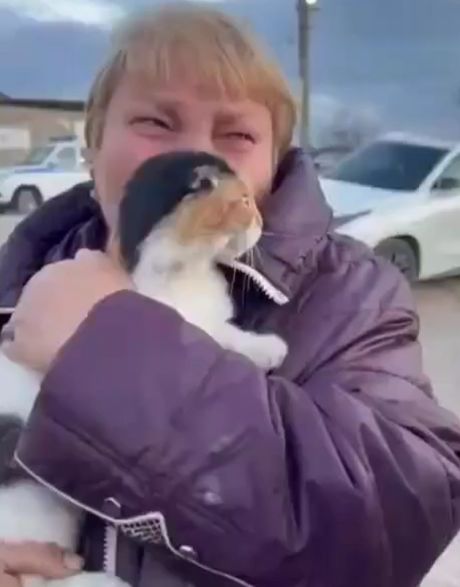 Маленькое чудо среди большой беды: кошку нашли живой спустя 5 дней наводнения⁠⁠