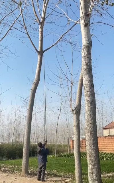 От судьбы не уйдешь⁠⁠