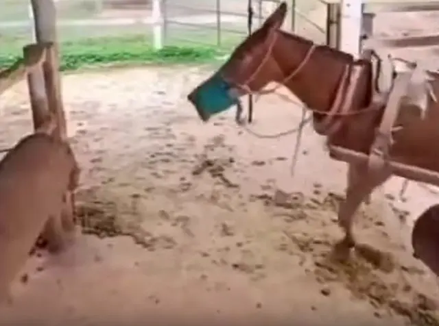 О-оу.. Кажется, женщин сместили на третью ступень пьедестала, в кое-каких умениях!⁠⁠