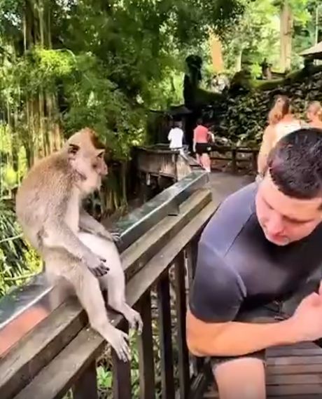 Доверие не купишь