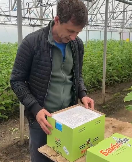 Запускаем шмелей⁠⁠