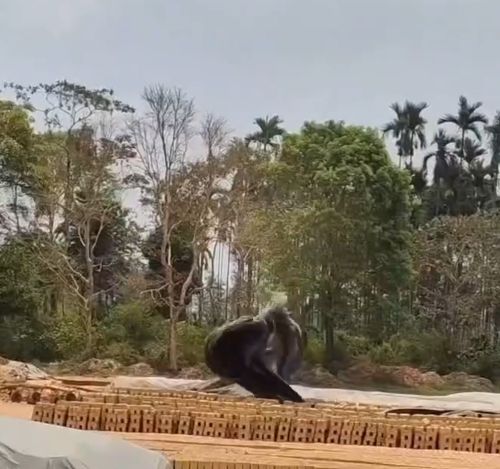 Иногда самые потрясающие вещи можно найти в самых неожиданных местах
