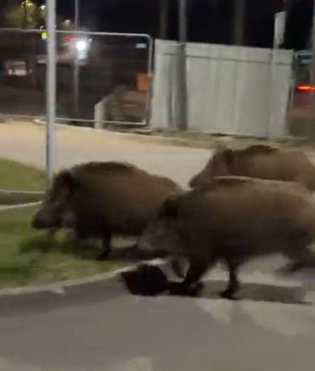 Если интересно, что происходит в Польше, там всё стабильно