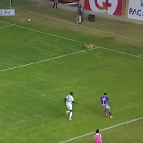 И мне! И мне дайте поиграть!