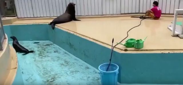 Воспользуюсь моментом, йо-х-у-у-у-у!⁠⁠