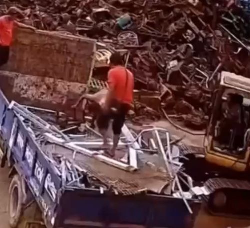 Мегамозг⁠⁠