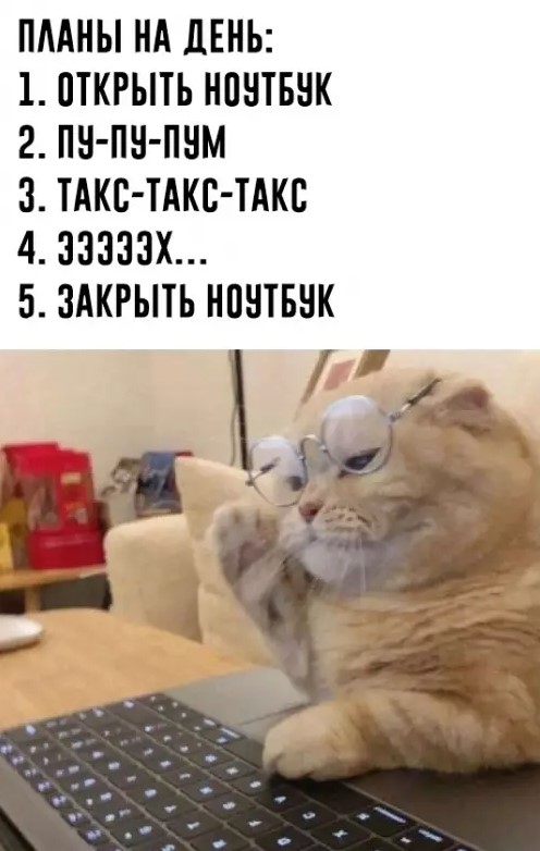 Подборка юмора 01.04.2026