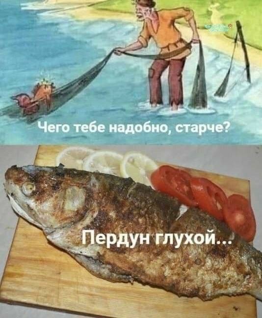 Субботняя юморная подборка 04.04.2026