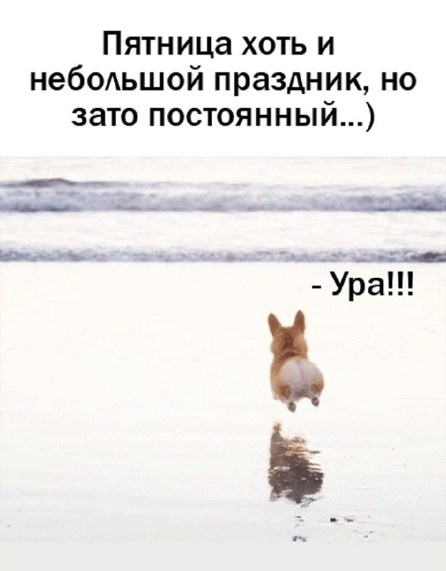 Веселые картинки на ночь глядя 03.04.2026