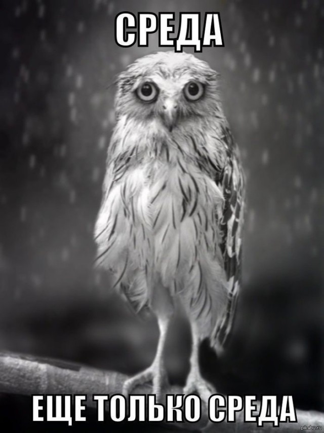 Позитивная подборка картинок 08.04.2026