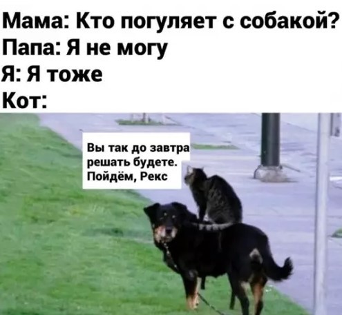 Вечерний заряд хорошего настроения  08.04.2026