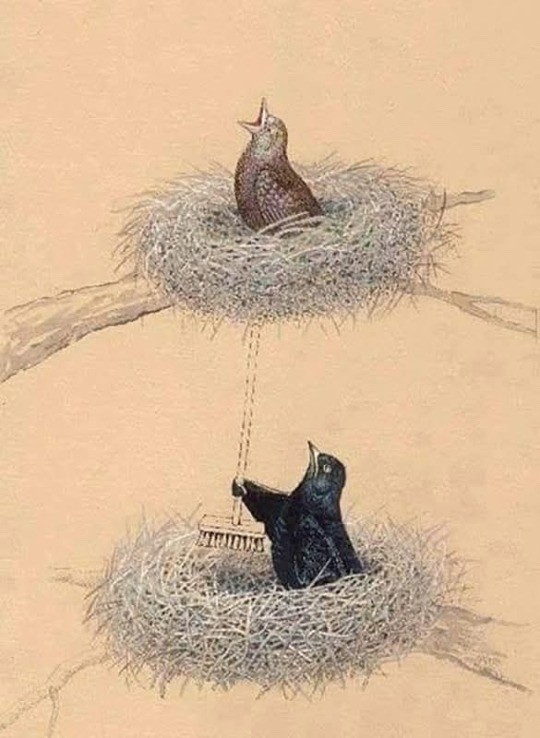 Приколы 09.04.2026