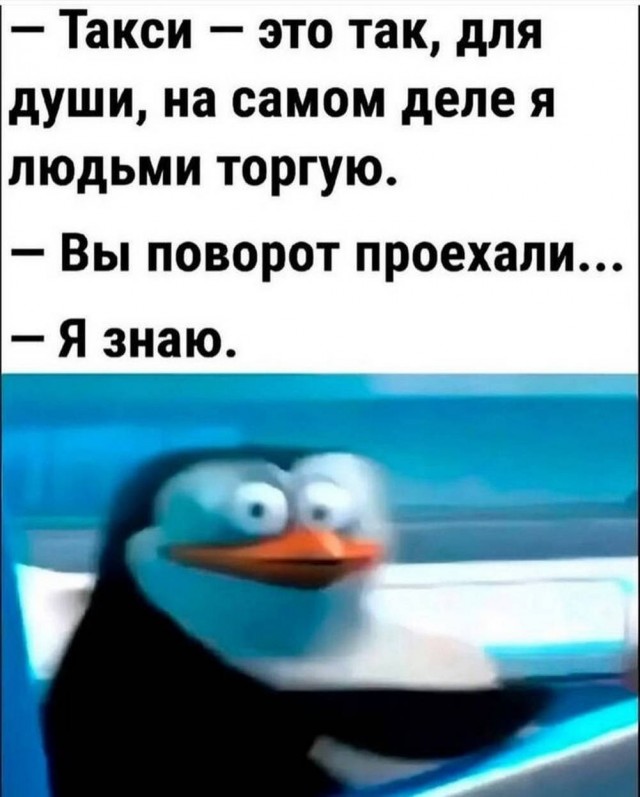 Утренняя пачка приколов 10.04.2026