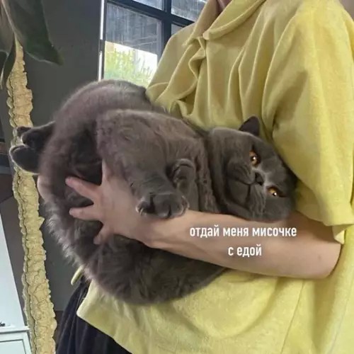 Для хорошего настроения 12.04.2026