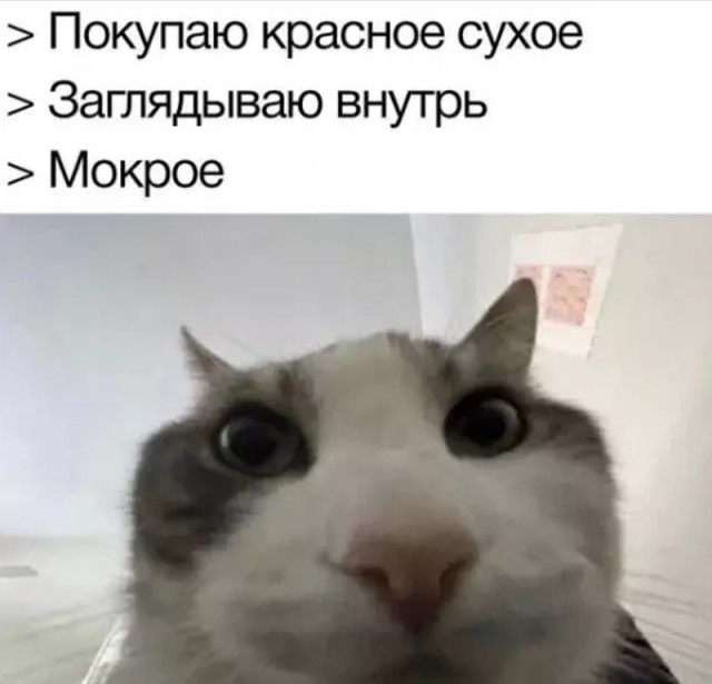 Прикольчики 15.04.2026