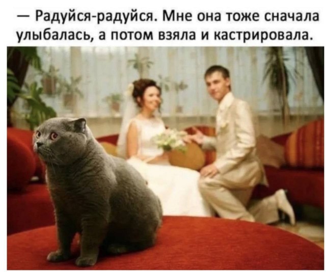 Юмор на любителя 16.04.2026