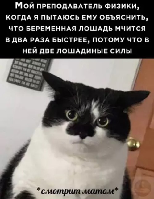 Вечерний юмор 18.04.2026